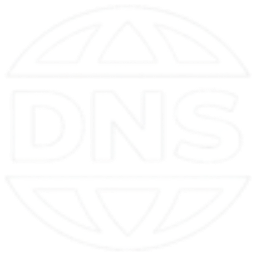 DnsSwitcher icon